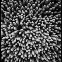 (C) Andre Hilkens
