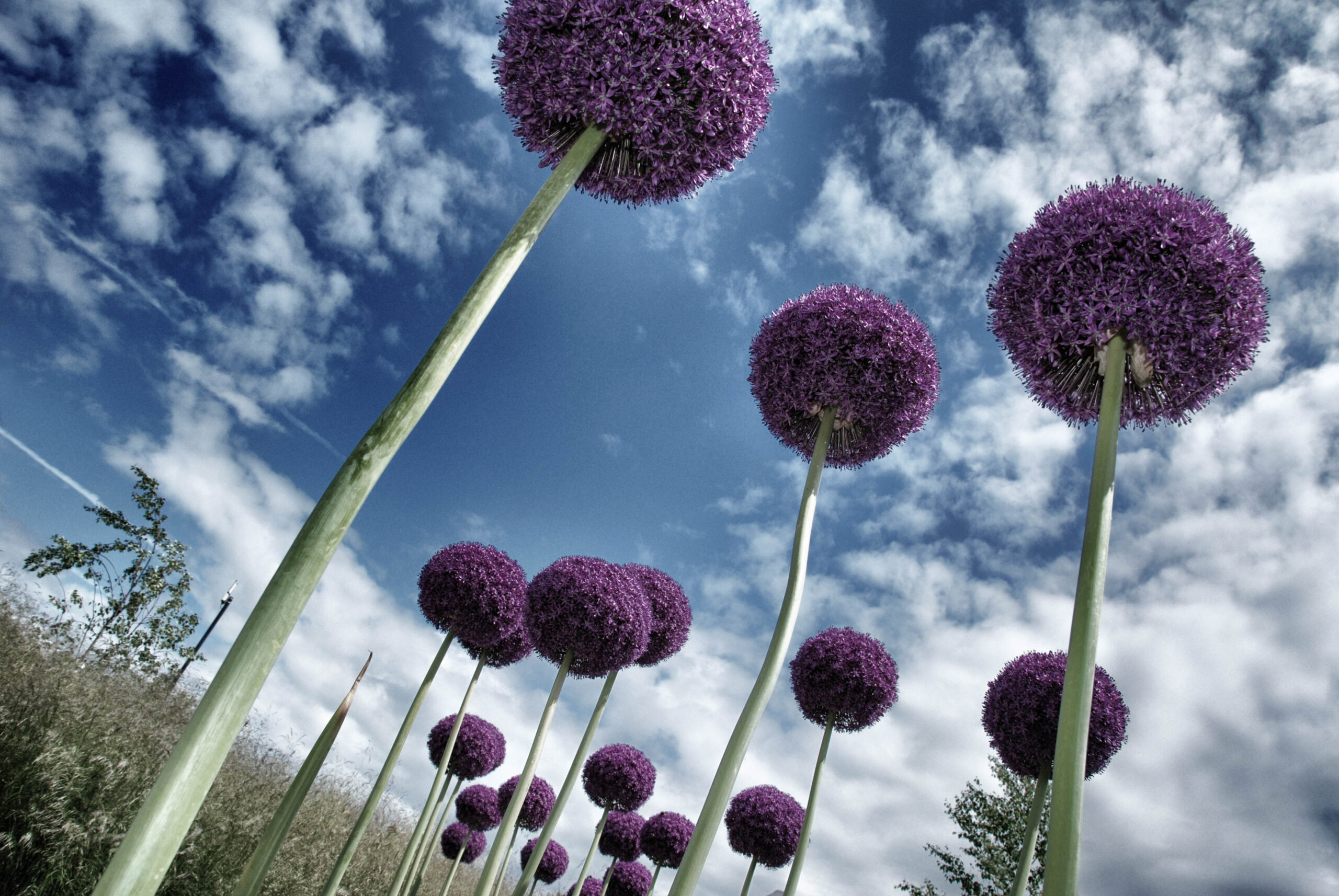 patrick-claessens-gallery-8